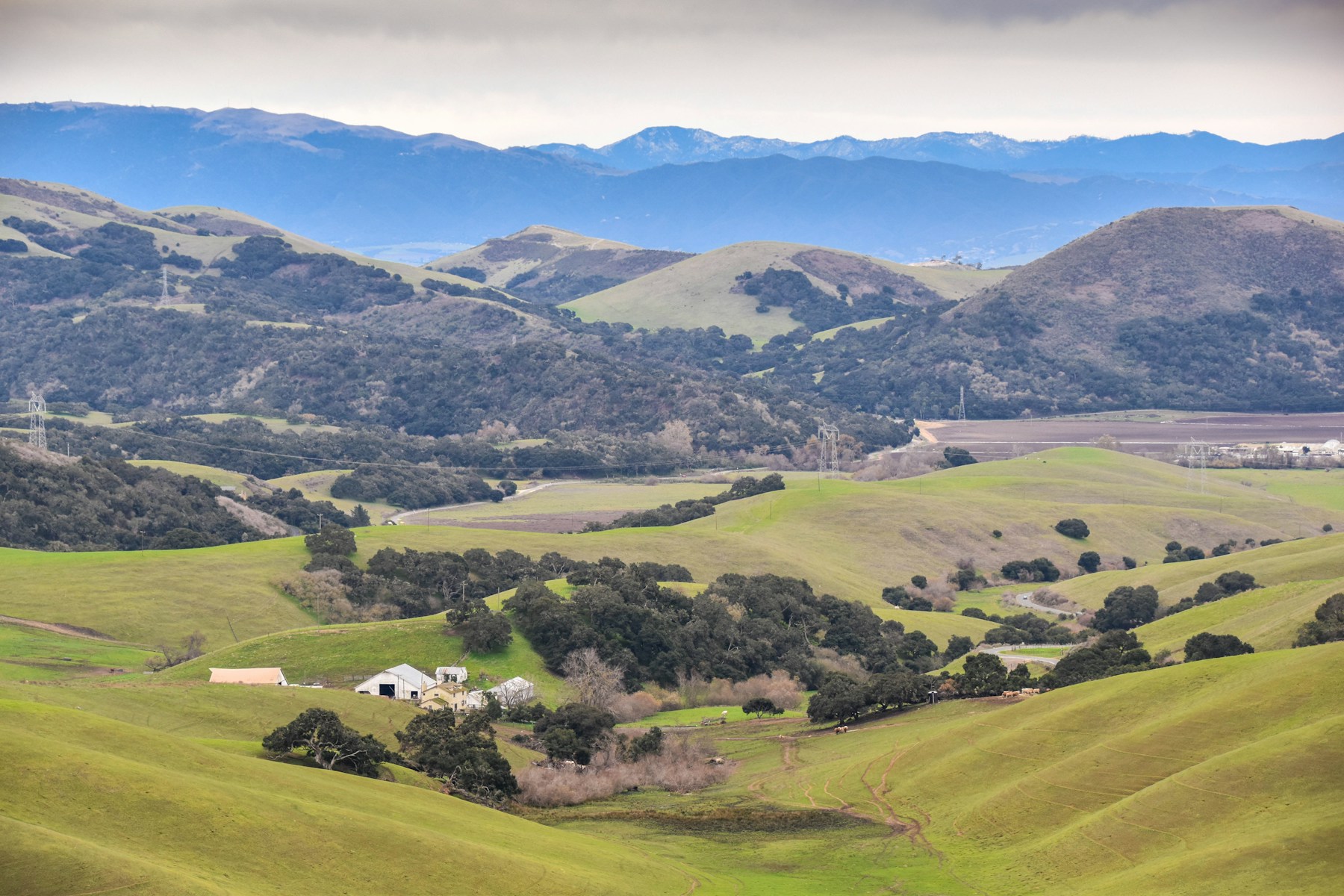 Rolling green farmland in Salinas, California