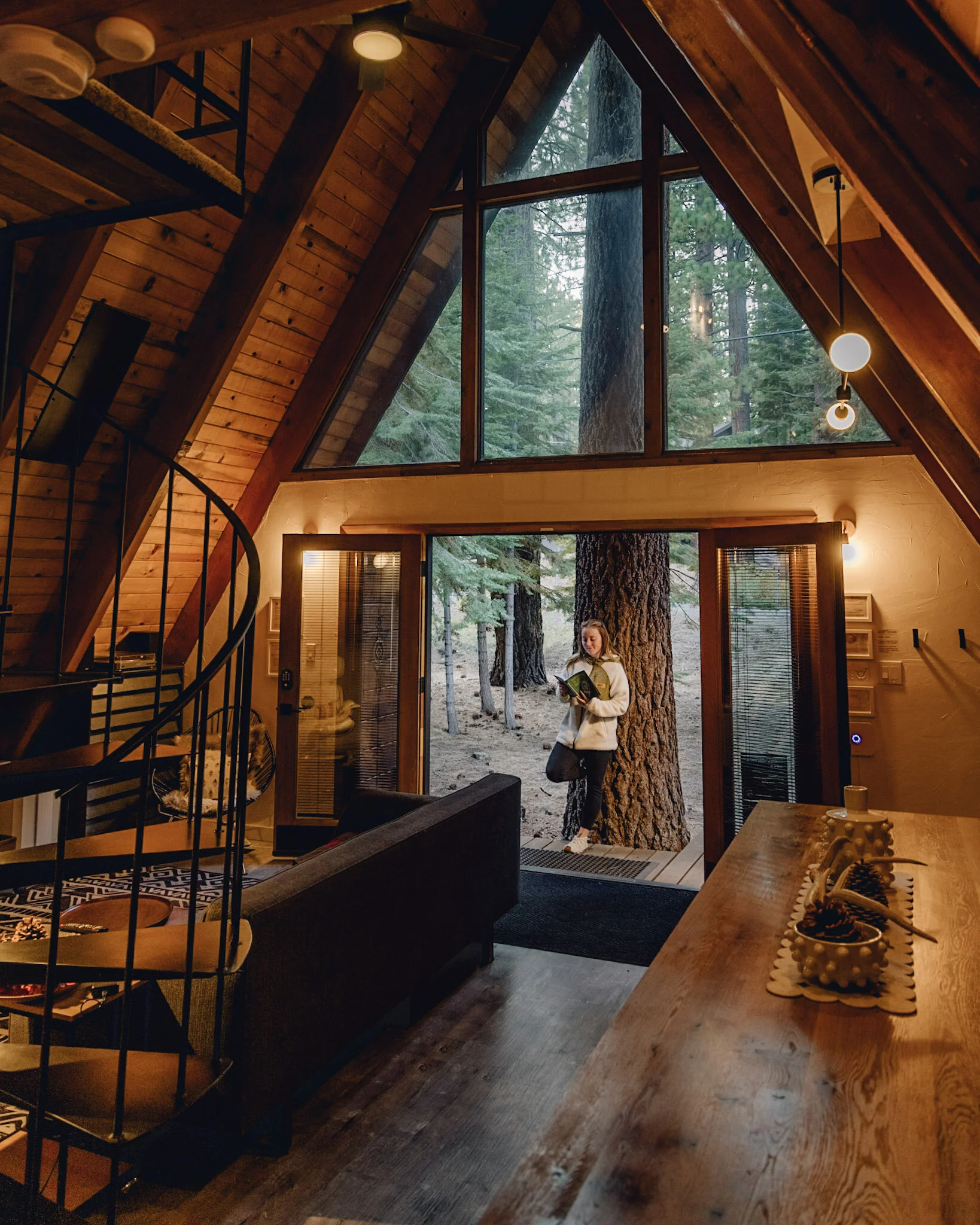 Warm timber interior opening toward a forest